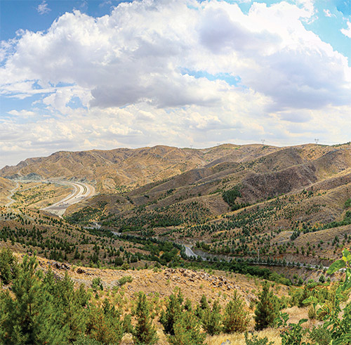 چهارگانه &laquo;راهبرد سبز&raquo; مدیریت شهری