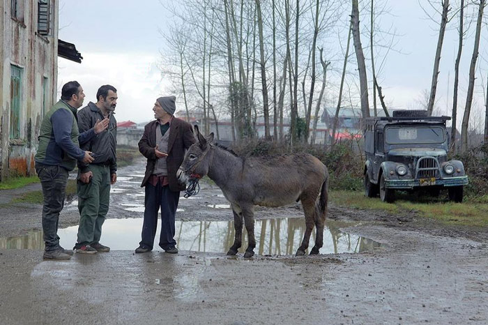 نقد فیلم «مشمشه» اثر تازه شاهد احمدلو | پشت صحنه‌ای از ضبط یک فیلم فرضی