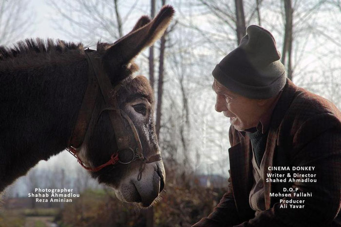 نقد فیلم «مشمشه» اثر تازه شاهد احمدلو | پشت صحنه‌ای از ضبط یک فیلم فرضی