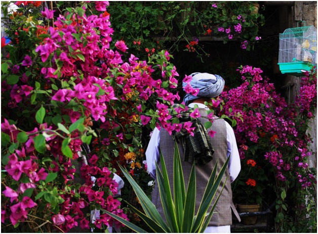 نگاهی به جایگاه نوروز در میان مردم افغانستان+ عکس نگاهی به جایگاه نوروز در میان مردم افغانستان+ عکس
