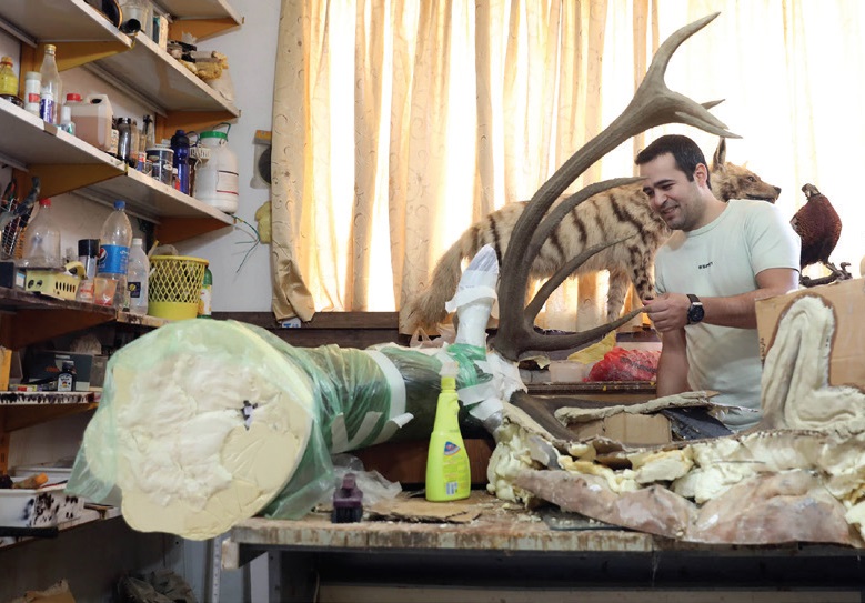 پرنده مردنی نیست! پرنده مردنی نیست!