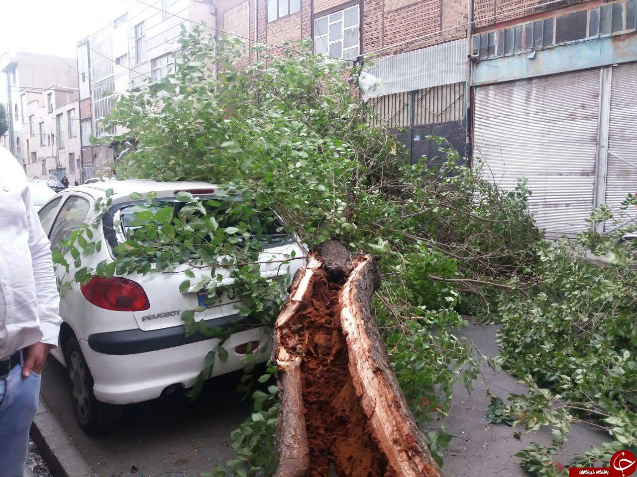 پیام شما روی میز شهردار مشهد است