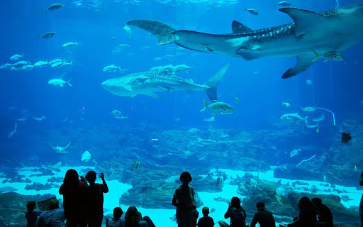 برنامه‌های مجازی روز جهانی موزه‌ها در سال ۲۰۲۰