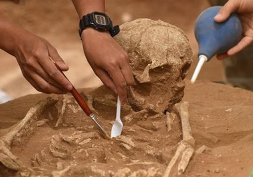 موزه، عصاره هویت یک ملت است موزه، عصاره هویت یک ملت است