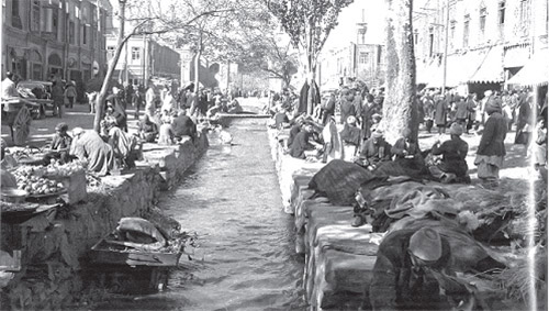 روزگار سپری‌شده بیماری‌ها