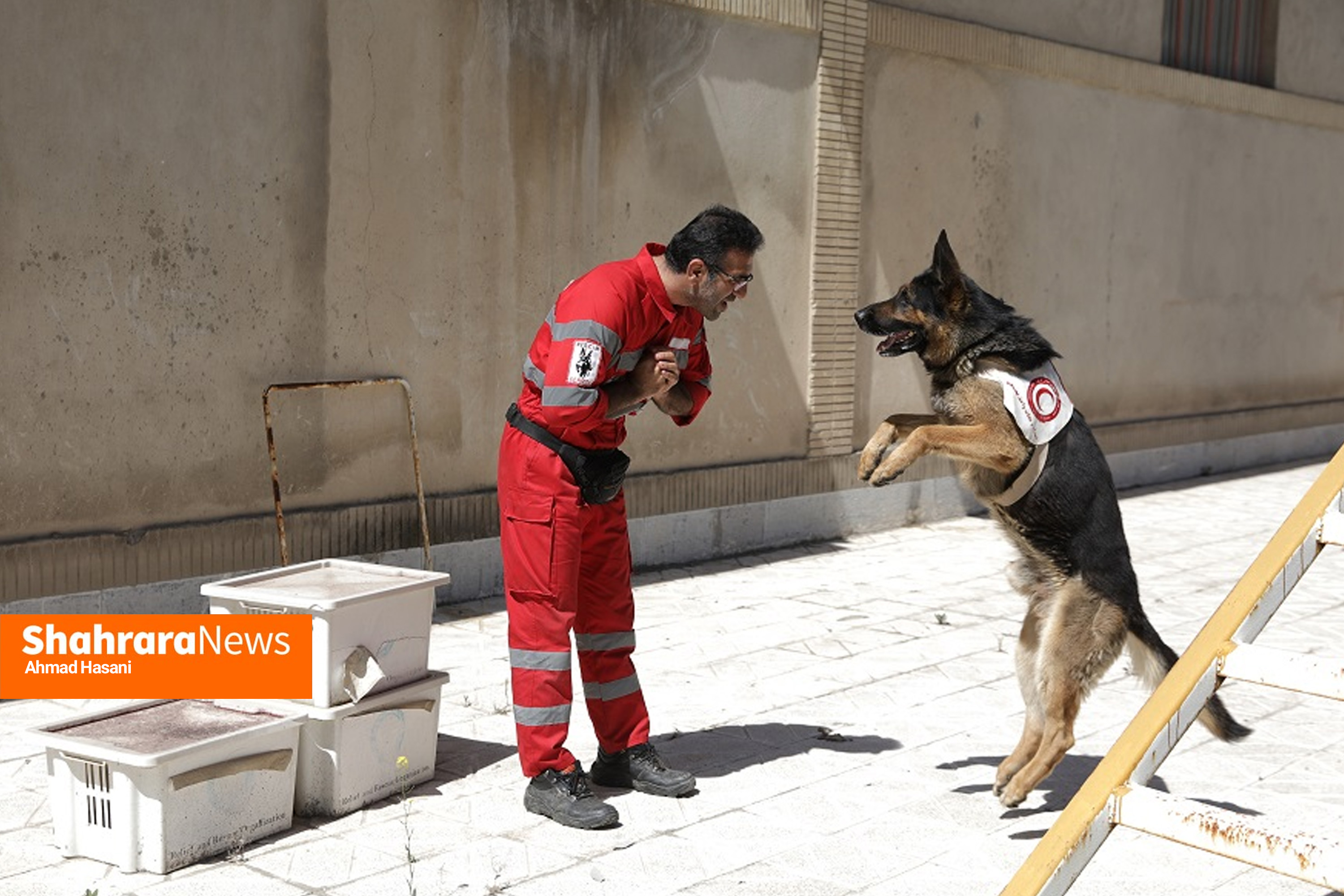 «آنست»؛ سگهایی که در امداد و نجات دومی ندارند/ یک روز همراه با جری و کارن، سگهای جستوجوگر هلال احمر خراسان رضوی+ فیلم «آنست»؛ سگهایی که در امداد و نجات دومی ندارند/ یک روز همراه با جری و کارن، سگهای جستوجوگر هلال احمر خراسان رضوی+ فیلم