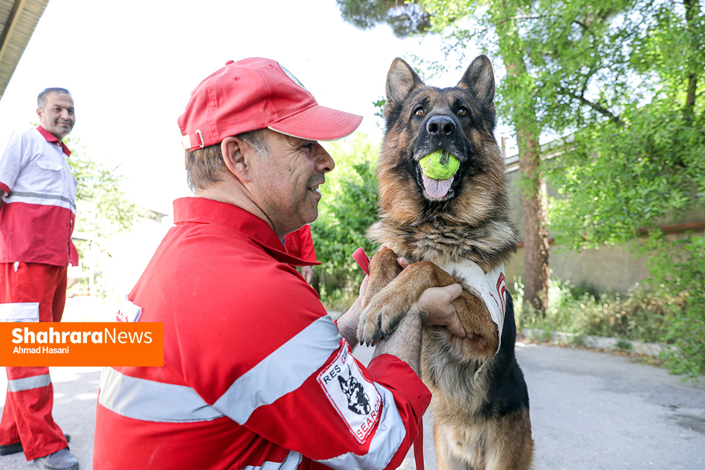 «آنست»؛ سگهایی که در امداد و نجات دومی ندارند/ یک روز همراه با جری و کارن، سگهای جستوجوگر هلال احمر خراسان رضوی+ فیلم «آنست»؛ سگهایی که در امداد و نجات دومی ندارند/ یک روز همراه با جری و کارن، سگهای جستوجوگر هلال احمر خراسان رضوی+ فیلم