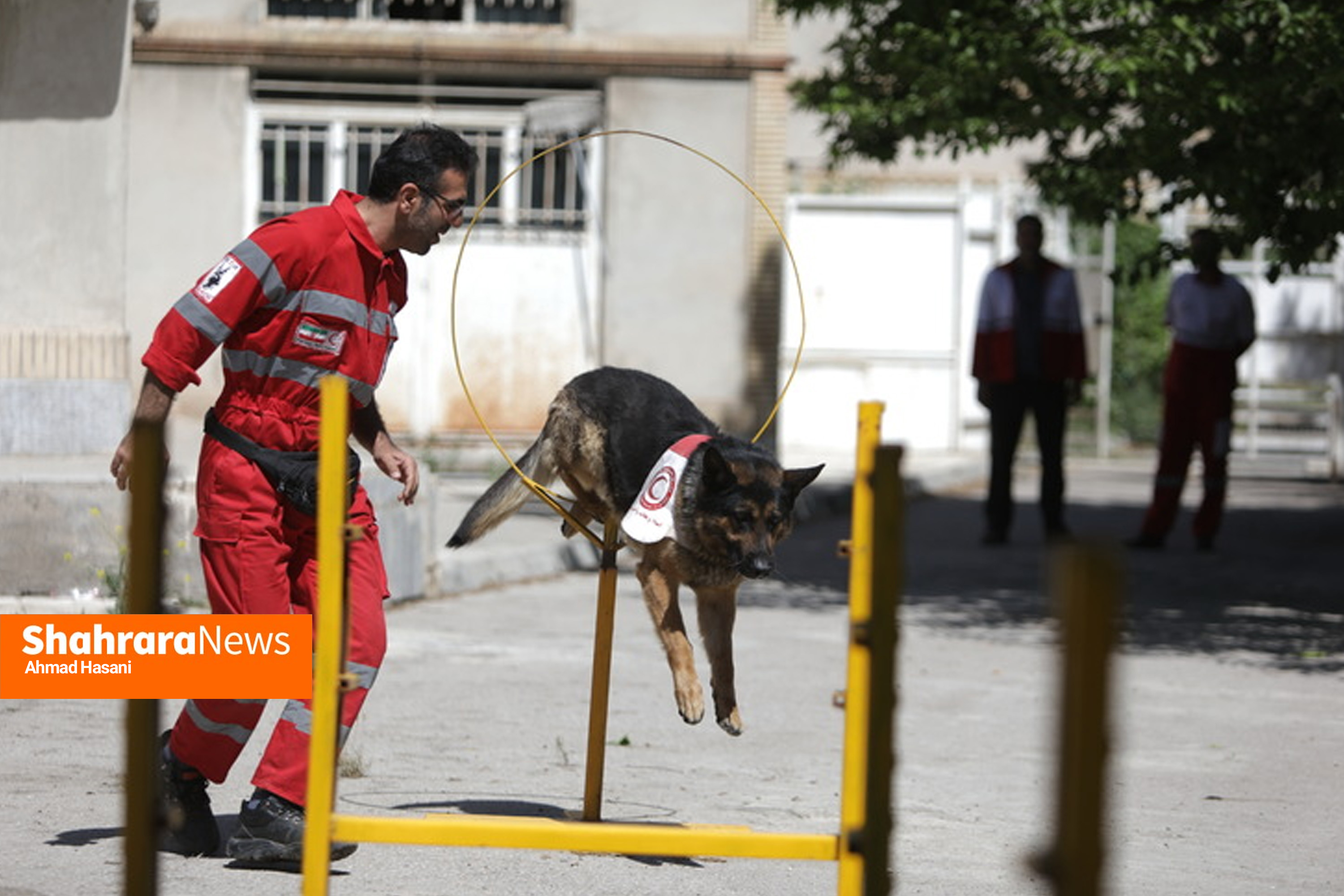 «آنست»؛ سگهایی که در امداد و نجات دومی ندارند/ یک روز همراه با جری و کارن، سگهای جستوجوگر هلال احمر خراسان رضوی+ فیلم «آنست»؛ سگهایی که در امداد و نجات دومی ندارند/ یک روز همراه با جری و کارن، سگهای جستوجوگر هلال احمر خراسان رضوی+ فیلم
