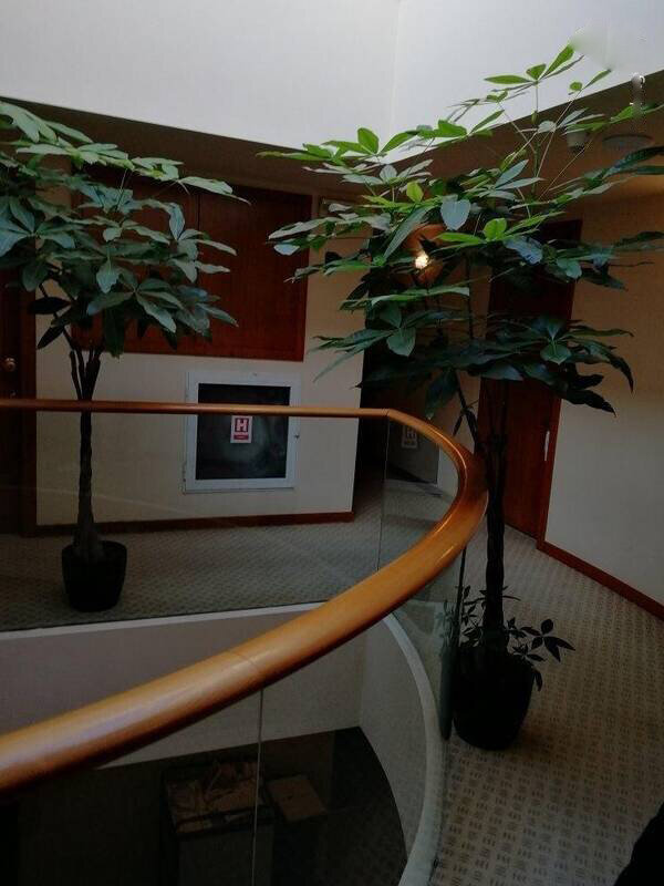 جزئیات تازه از مرگ قاضی منصوری+تصاویر جدید از محل کشف جسد جزئیات تازه از مرگ قاضی منصوری+تصاویر جدید از محل کشف جسد