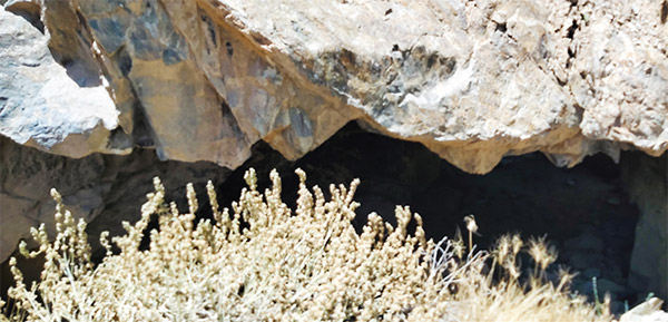 غار پروانه&zwnj;ها