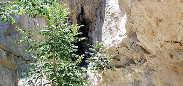 غار پروانه&zwnj;ها