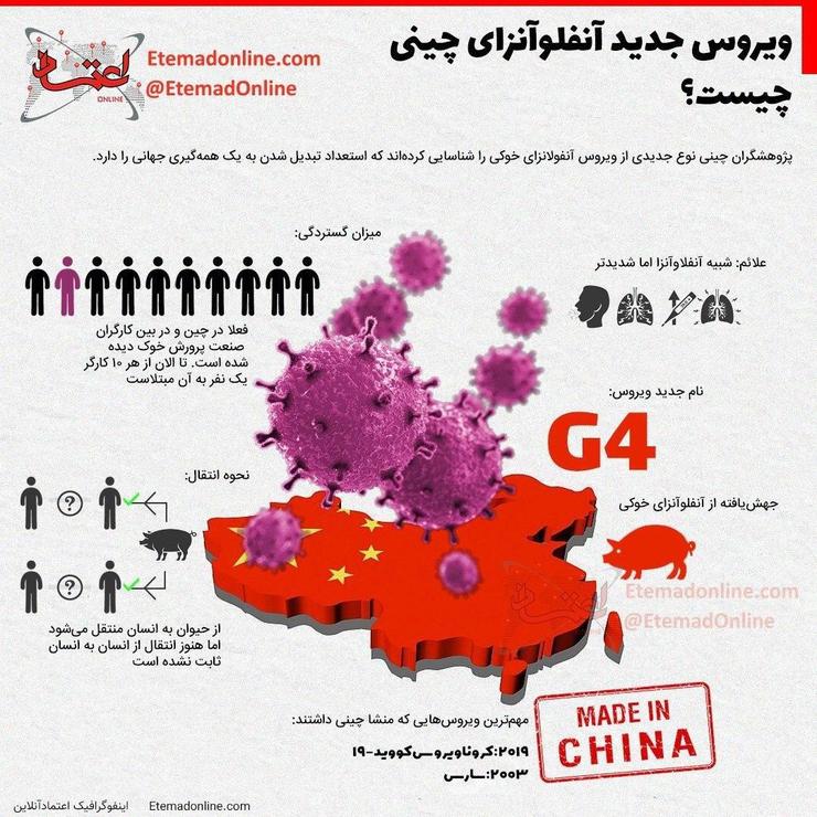 پژوهشگران چینی نوع جدیدی از ویروس آنفلوانزای خوکی را شناسایی کرده‌اند که استعداد تبدیل شدن به همه‌گیری جهانی را دارد.