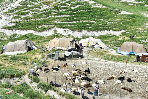 ٦ قاب از ١٢ چادر