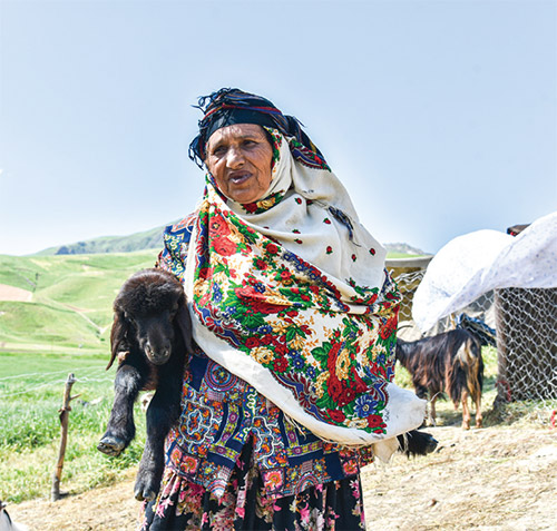 ٦ قاب از ١٢ چادر