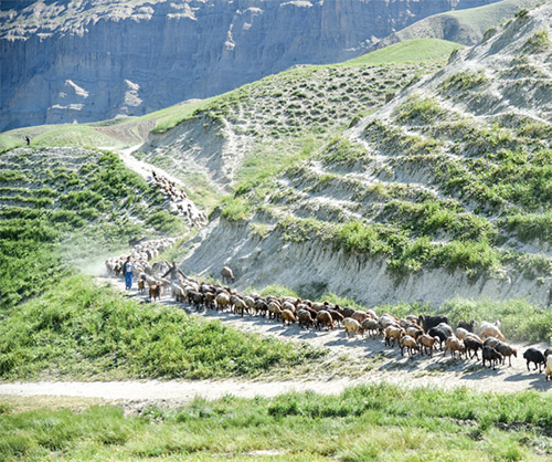 ٦ قاب از ١٢ چادر