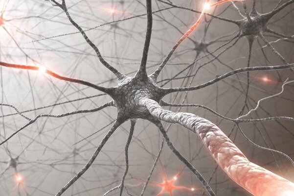 تولید ماده&zwnj;ای سمی برای سهولت تصویربرداری از تومور سرطانی