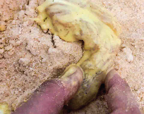 طرز تهیه مرغ سوخاری