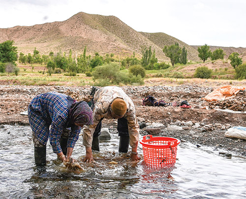 قصه عروسک‌های بی چهره