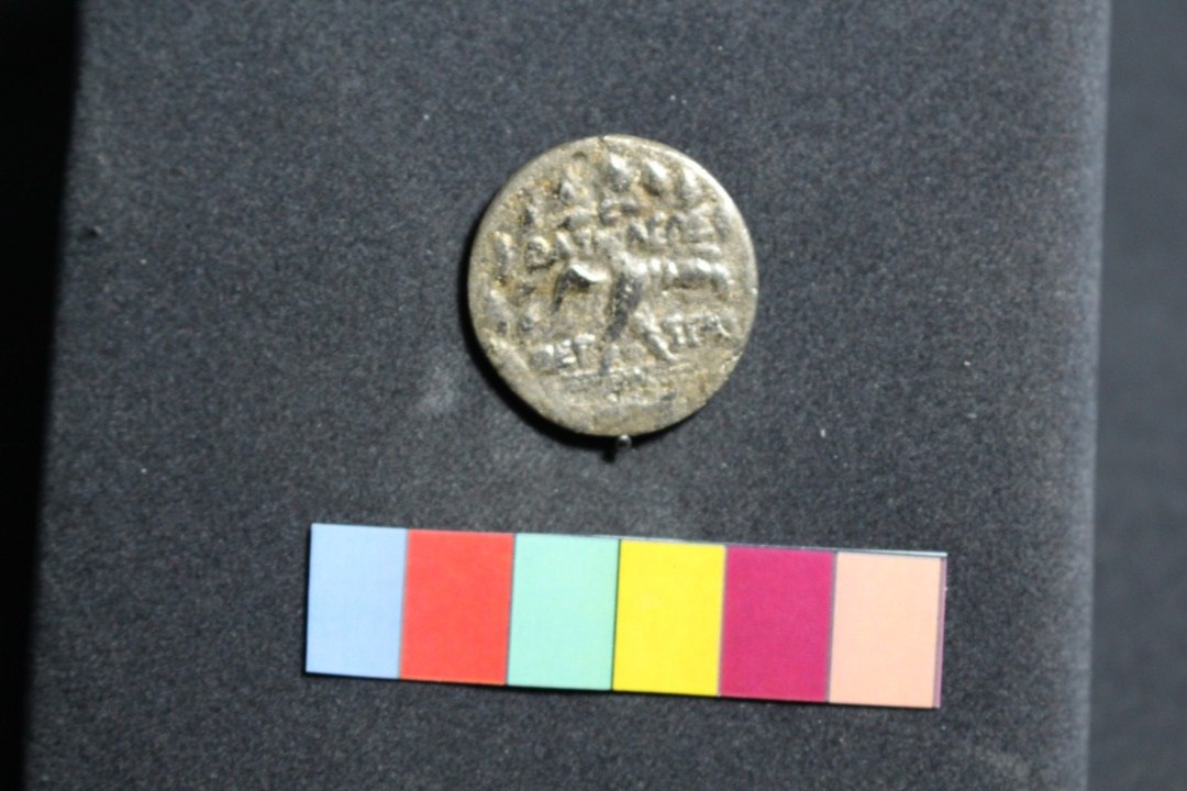 سکههای عصر سلوکیان در موزه بزرگ خراسان+تصاویر سکههای عصر سلوکیان در موزه بزرگ خراسان+تصاویر