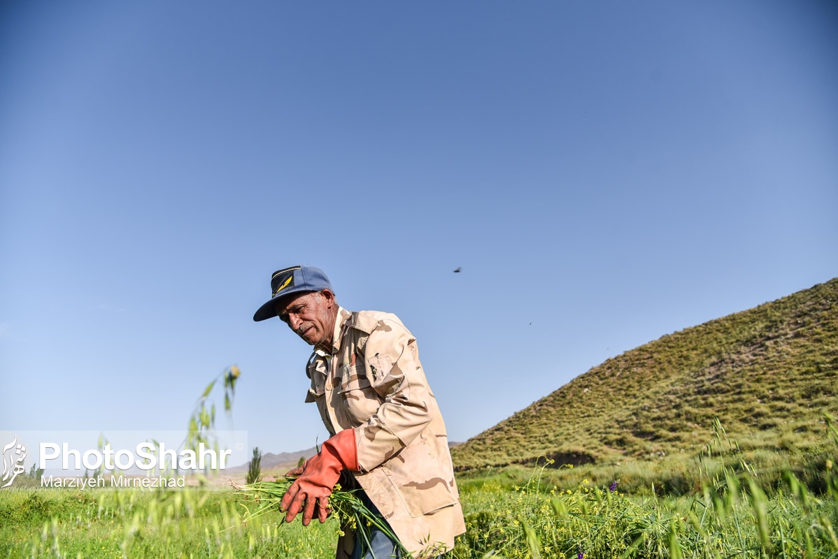 قصه عروسک‌های بی چهره روستای حاجی بیگی و ایجاد سبک جدیدی از گردشگری