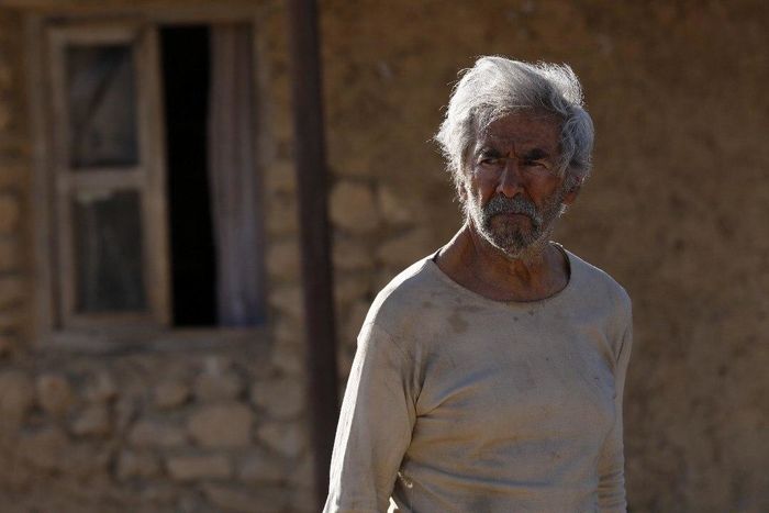 نگاهی به ۶ فیلم جدید که قرار است در شبکه نمایش خانگی توزیع شود