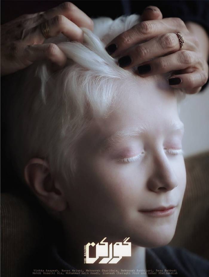 حسن معجونی: فیلم &laquo;گورکن&raquo; یا هوادار دوآتشه دارد یا مخاطبی که شاید با آن هیچ ارتباطی برقرار نکند