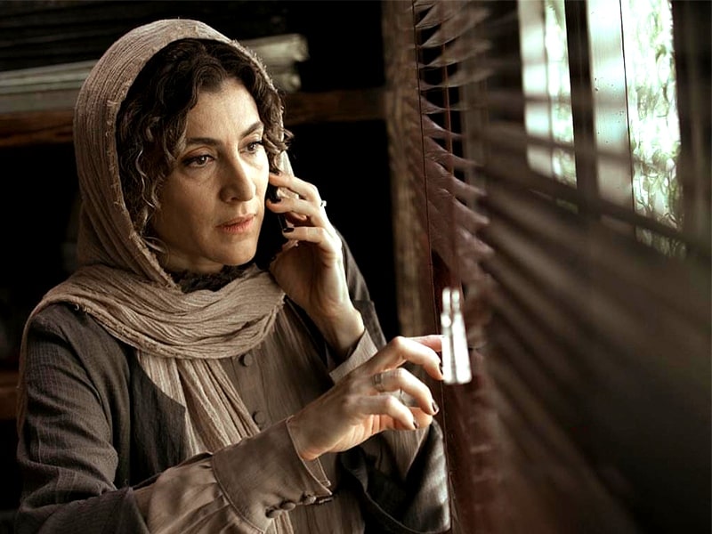 حسن معجونی: فیلم &laquo;گورکن&raquo; یا هوادار دوآتشه دارد یا مخاطبی که شاید با آن هیچ ارتباطی برقرار نکند