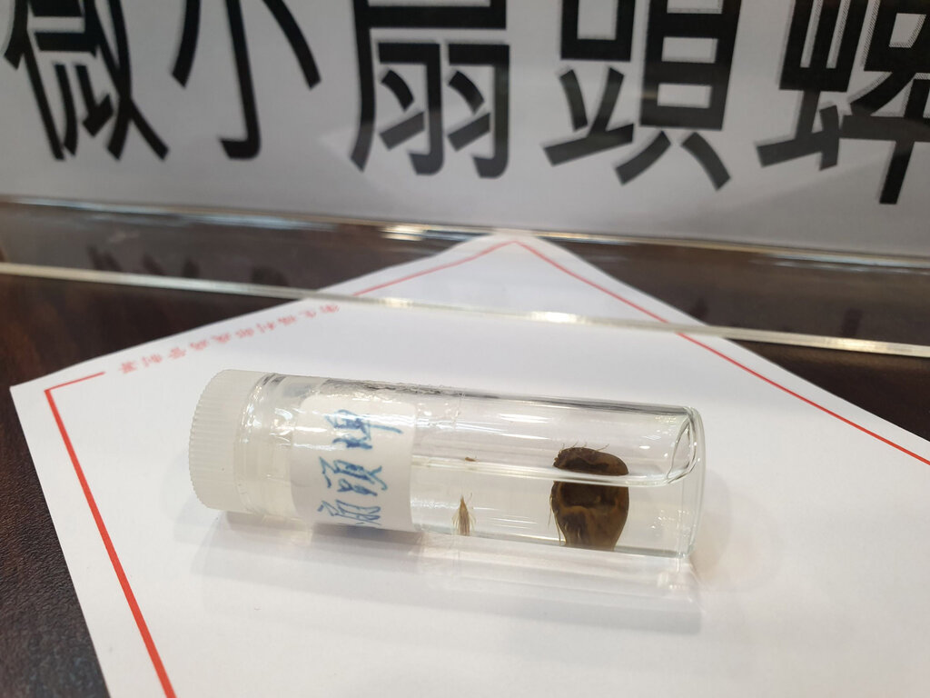 ویروس کنه ای SFTS