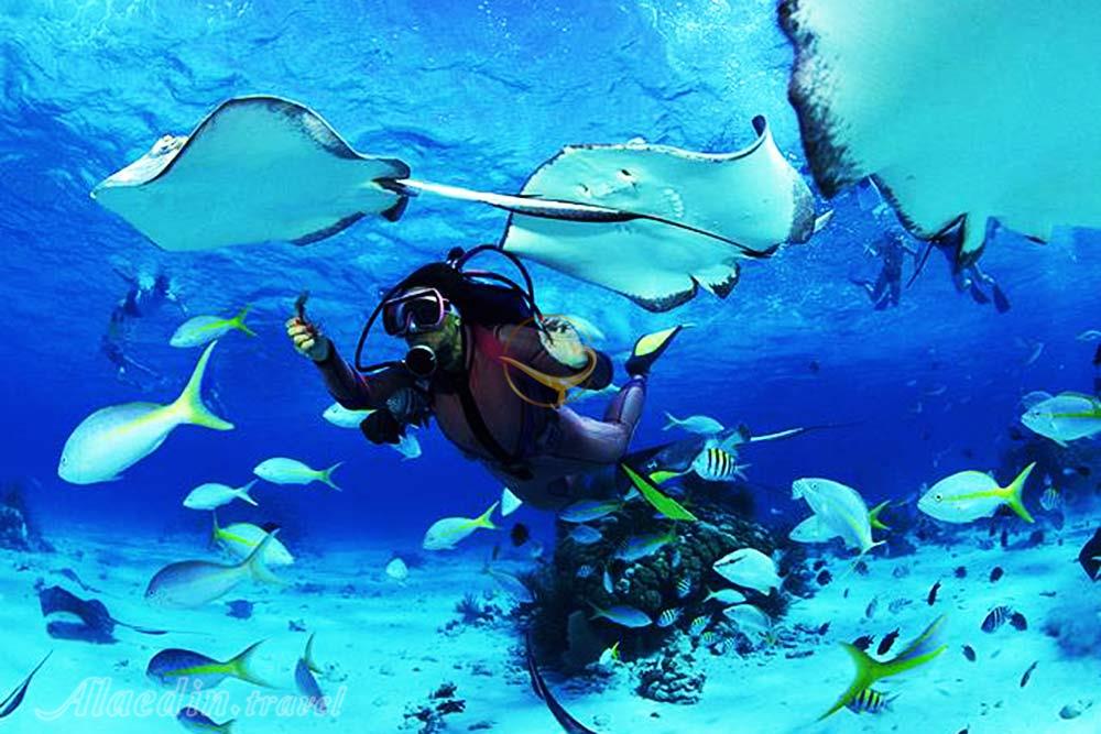 آشنایی با بهترین نقاط تفریحی کیش