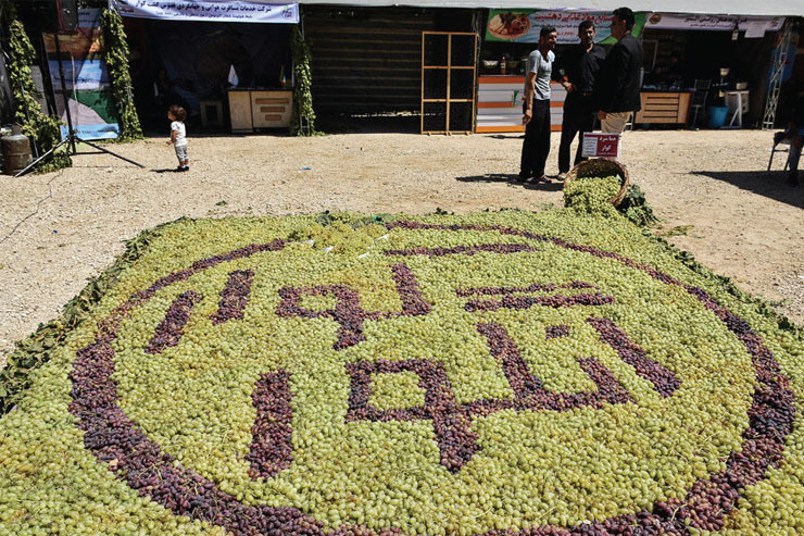 هرات معدن انگور دنیا هرات معدن انگور دنیا