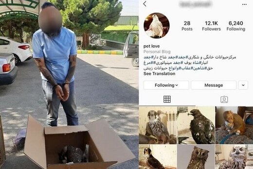 قاچاقچی حیات وحش به دام افتاد