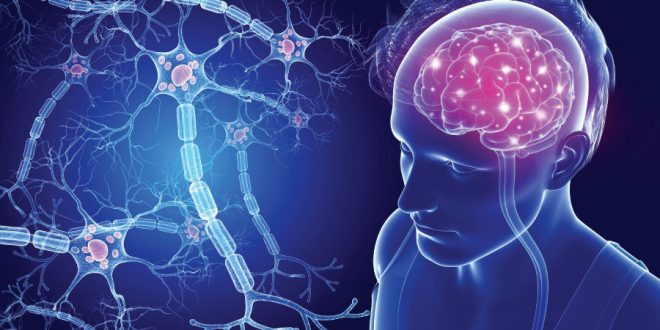 راهکار&zwnj;های ساده طب سنتی برای درمان ام اس