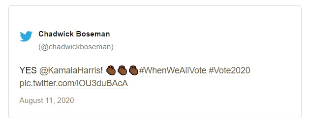 چادویک بوزمن، بازیگر نقش «پلنگ سیاه» از دنیا رفت چادویک بوزمن، بازیگر نقش «پلنگ سیاه» از دنیا رفت