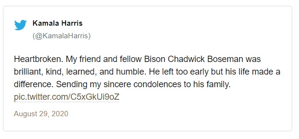 چادویک بوزمن، بازیگر نقش «پلنگ سیاه» از دنیا رفت چادویک بوزمن، بازیگر نقش «پلنگ سیاه» از دنیا رفت