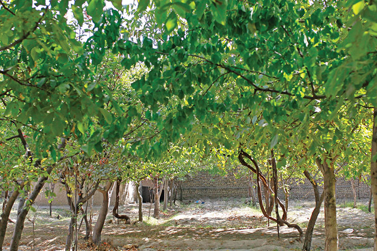 خاک توس آماده کشت &laquo;گردشگری کشاورزی&raquo; است