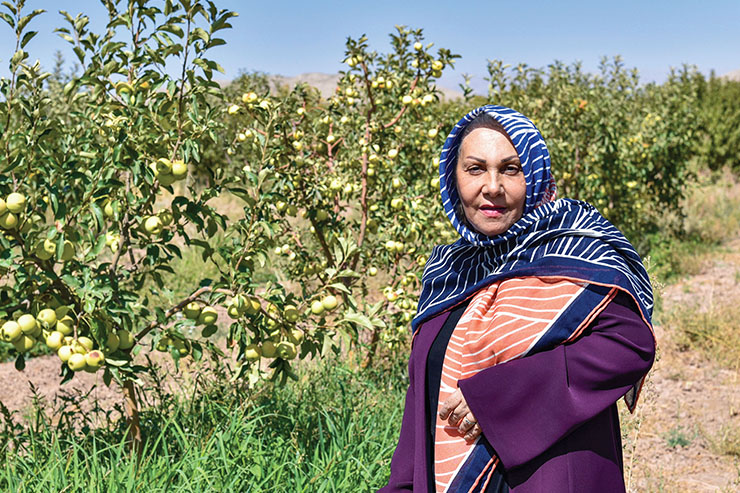 گفت‌وگو با قهرمان ملی در بخش باغات که مشغول پرورش ماهی و برداشت محصول است
