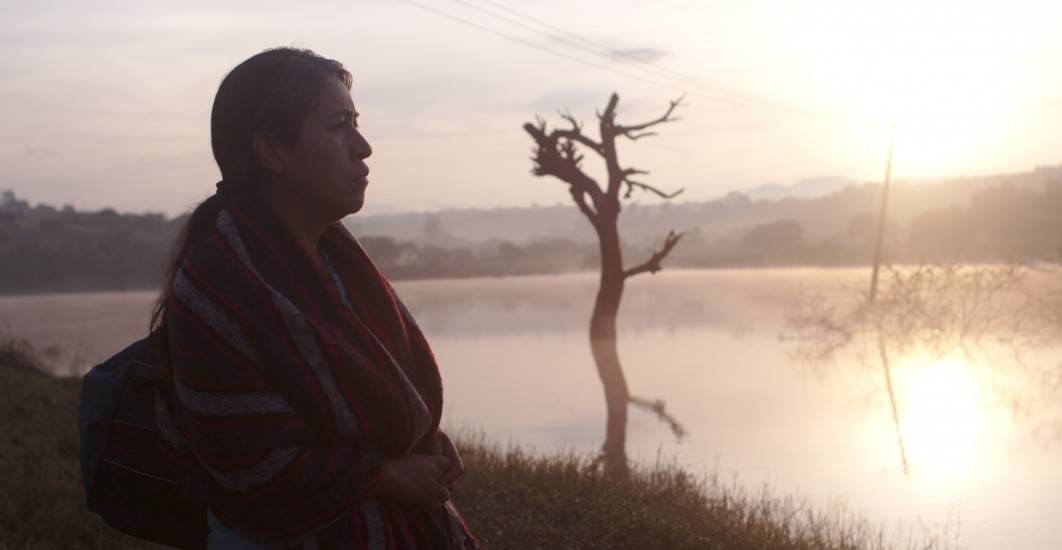برگزیدگان جشنوراره زوریخ ۲۰۲۰ معرفی شدند برگزیدگان جشنوراره زوریخ ۲۰۲۰ معرفی شدند