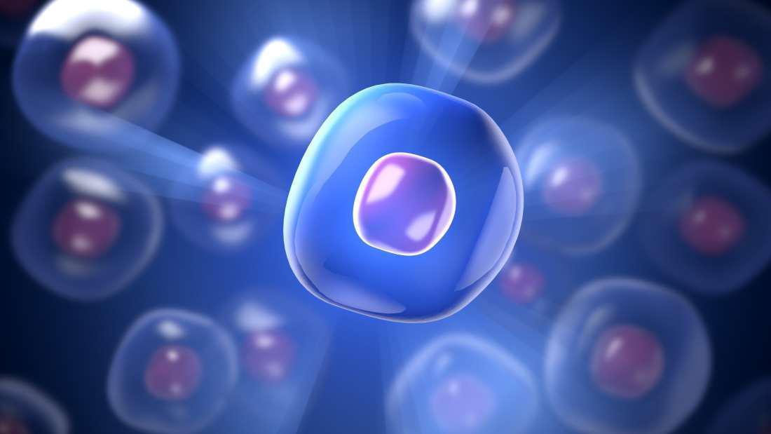 آیا زمین تنها سیاره میزبان حیات است یا حیات خلوتی هم داریم؟