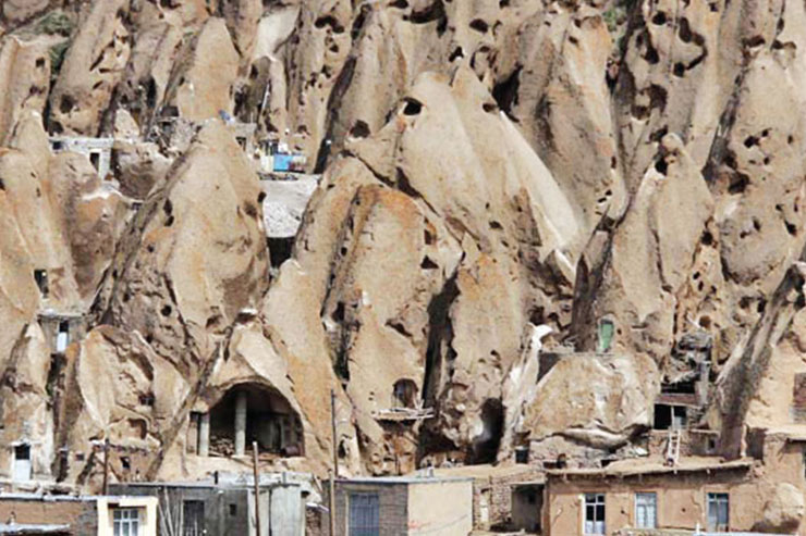 وقتی موش‌ها به کندوان سفر می‌کنند