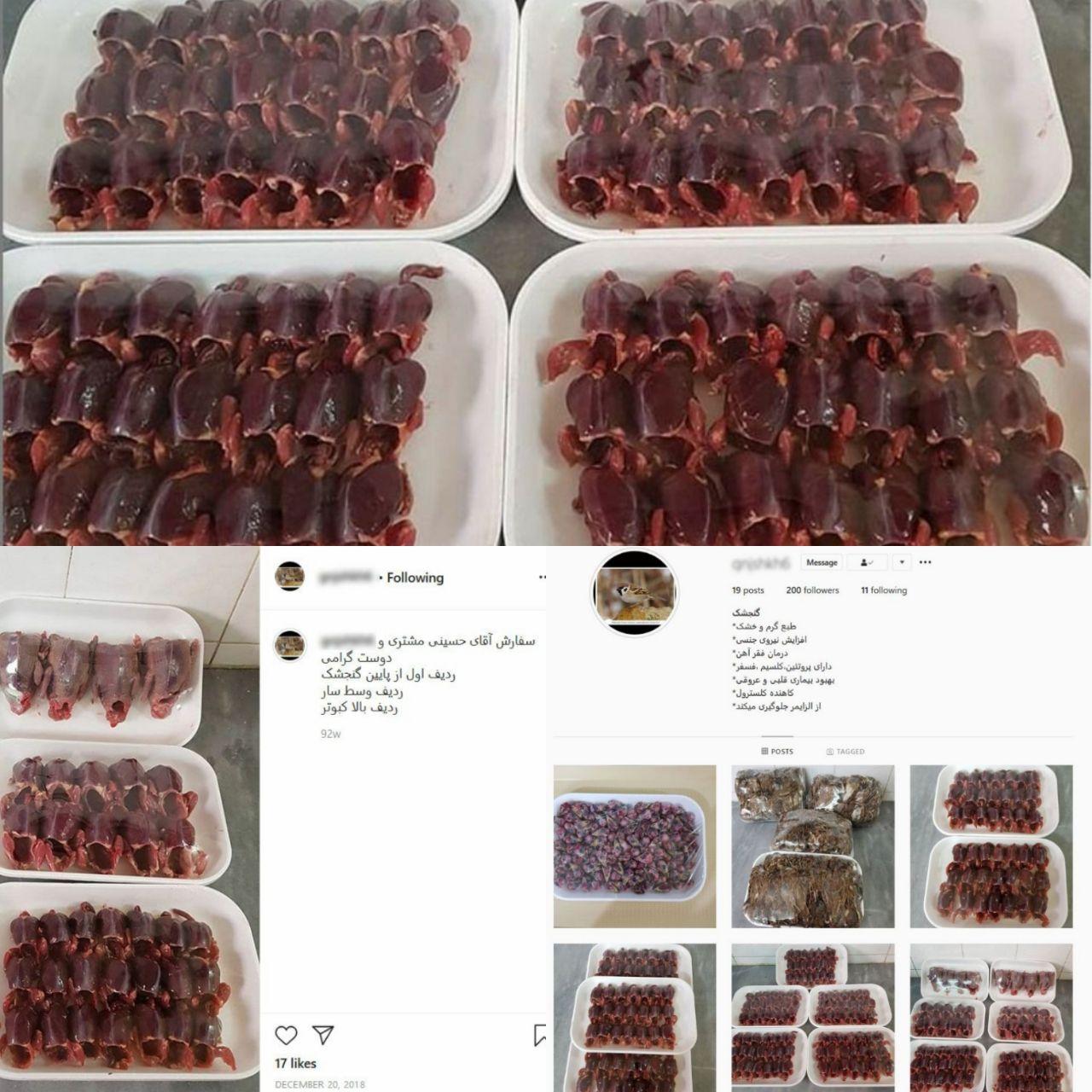 سفارش گوشت سار و گنجشک در فضای مجازی + عکس