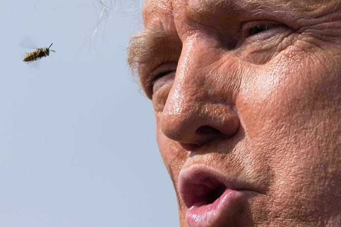 ۲۰ عکس از نامزد&zwnj;های ریاست&zwnj;جمهوری آمریکا که دقیقا در لحظه مناسبی شکار شده&zwnj;اند