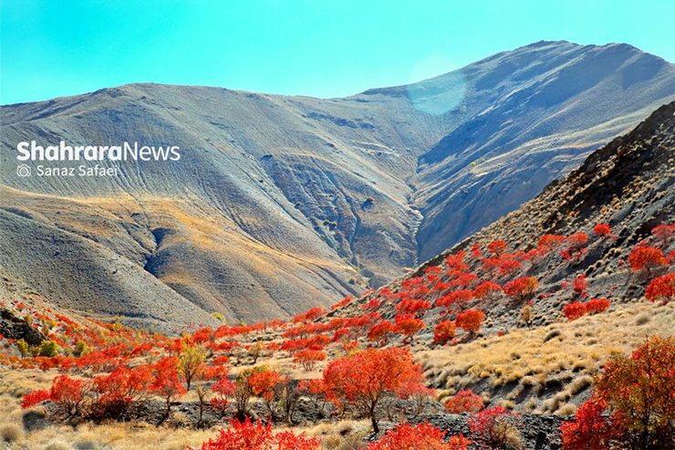 گردشگری روستای خانیک این روز‌ها سماق می ‌مکد