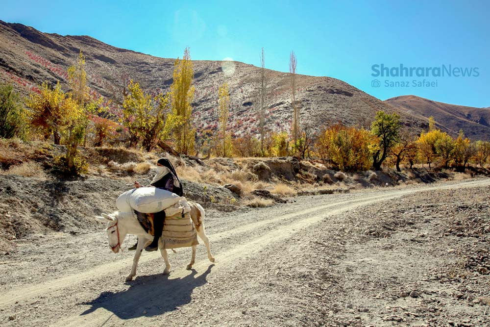 گردشگری روستای خانیک این روز‌ها سماق می‌مکد