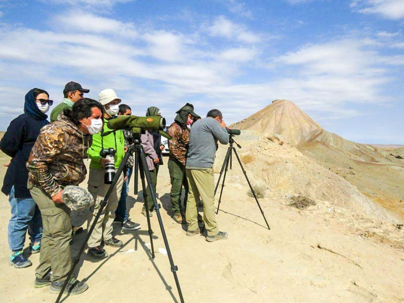 درباره «پرنده نگری»، یک تفریح نوین پرطرف دار