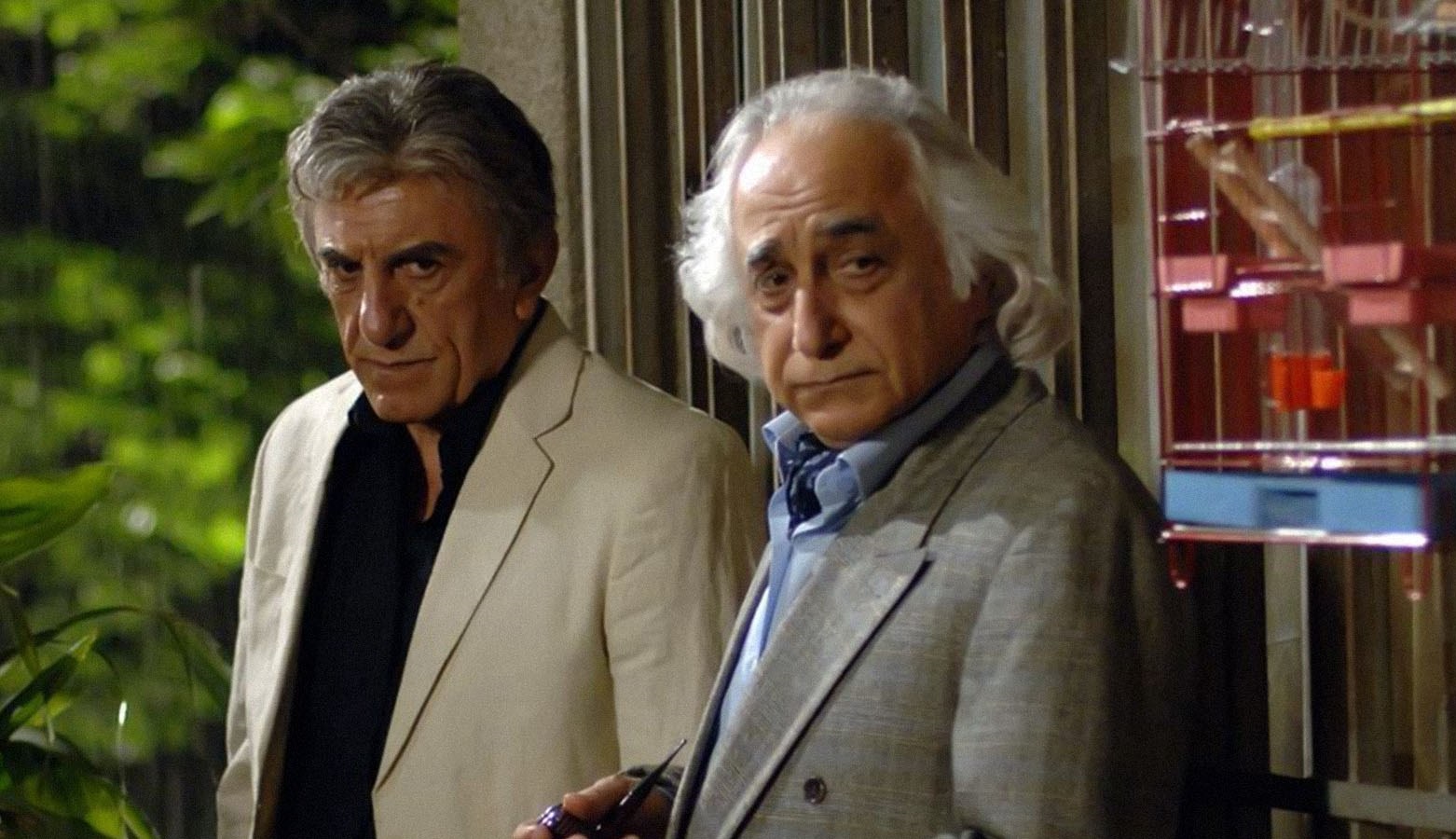 نگاهی به حضور شمس لنگرودی در سینما به مناسبت زادروزش