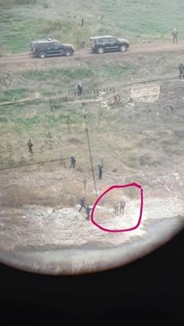 هدفگیری رئیسجمهور آذربایجان و همسرش توسط دوربین تک تیرانداز مرزی ایران + عکس هدفگیری رئیسجمهور آذربایجان و همسرش توسط دوربین تک تیرانداز مرزی ایران + عکس