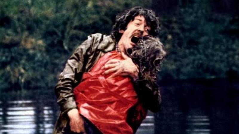 ۱۰ تا از بهترین فیلم‌هایی که از رمان‌های دافنه دوموریه ساخته شده‌اند