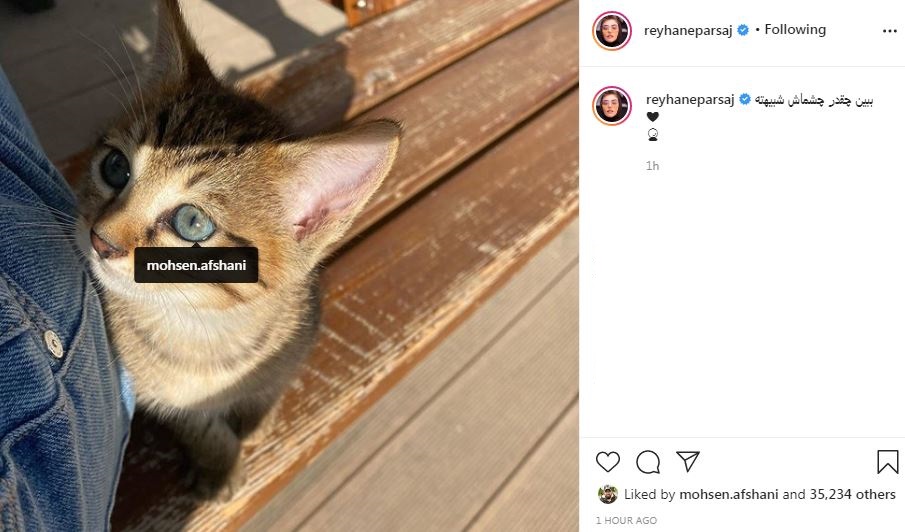 ماجرای رابطه ریحانه پارسا و محسن افشانی + تصاویر