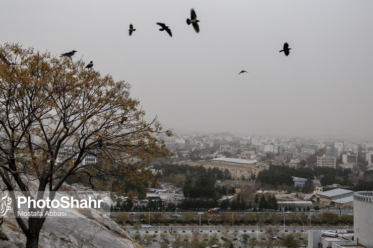 مشهد در وضعیت نارنجی کرونا قرار گرفت