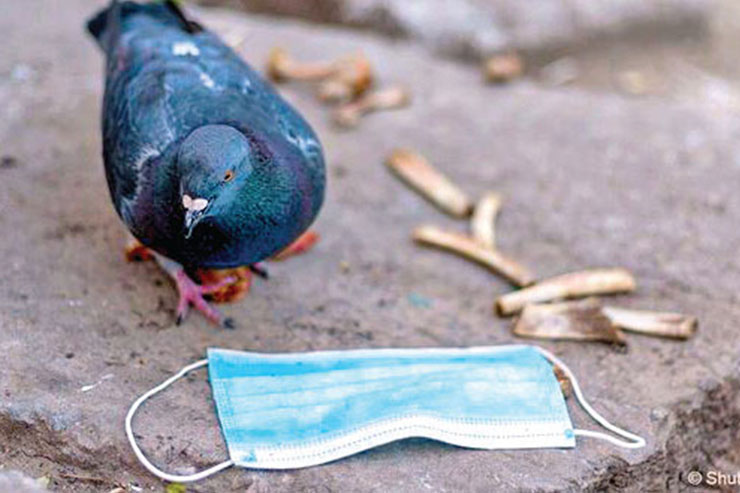 آشغال نریز، حیوان گناه دارد!